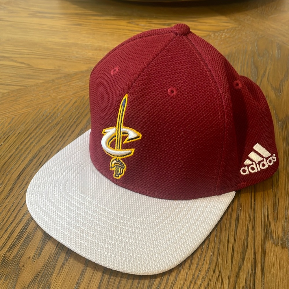 Cleveland Cavaliers snap back